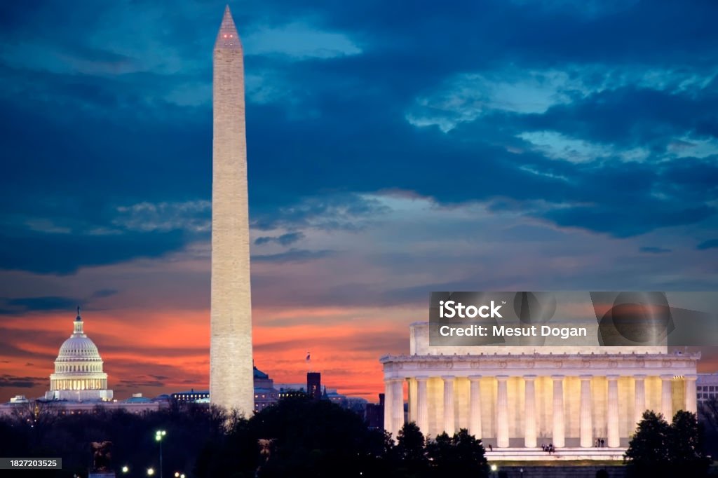 Tree preservation plan DC - Washington DC skyline with protected trees